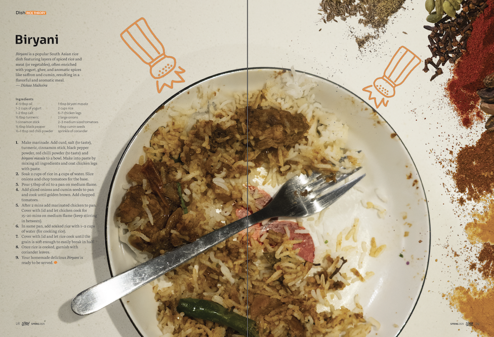 Stain Magazine biryani editorial recipe spread